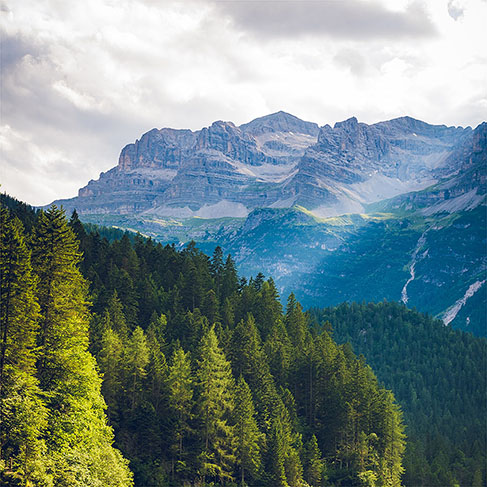 Vue panoramique sur les montagnes avec lac et sapins verts au premier plan